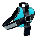 Joyride Basic Essential Dog Harness 1.0 - Small, Medium, Large Dogs, No-Pull Pet Vest with 3 Side Rings for Leash Placement, Adjustable for Training (Teal, XL)
