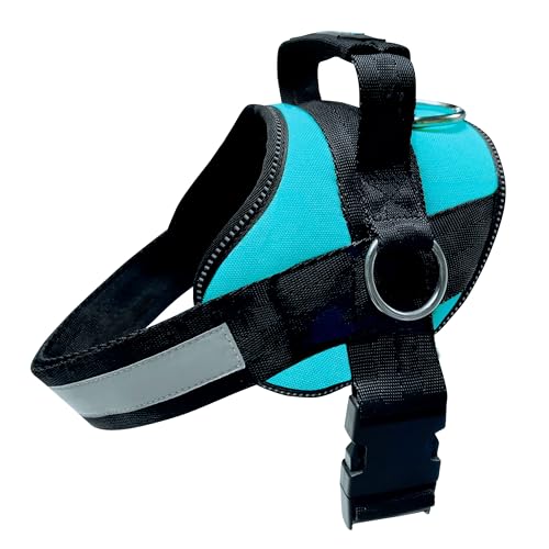 Joyride Basic Essential Dog Harness 1.0 - Small, Medium, Large Dogs, No-Pull Pet Vest with 3 Side Rings for Leash Placement, Adjustable for Training (Teal, XL)