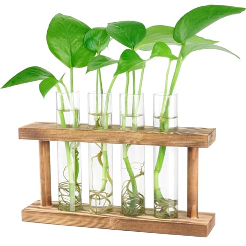 Image of ecofynd Test Tube Planter with Wooden Holder, Air Planter Glass Vase Holder with 4 Test Tube, Home Decor Hydroponic Plant Stand for Table Top, Desktop, Living Room, Office (TTP004)