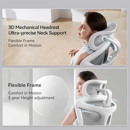 Image of SIHOO Doro C300 Pro Ergonomic Office Chair with Ultra-Soft 6D Armrests