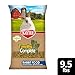 Kaytee Timothy Complete Rabbit Food, Made with Timothy Hay, High in Fiber, Supports Dental Health and Digestion, 9.5 pounds