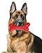 German Shepherd Dog Chew Toys for Aggressive Chewers,Indestructible Beef Flavored Tough Durable Dog Bone Toy Natural Rubber Teeth Cleaning Chews for Large/Medium Dogs