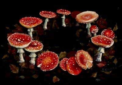 The Fairy Podcast Episode 8 - Fairy Rings & Fasting for Spiritual Growth