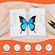 Tanstic Insect Specimen Tools Kit Insect Pins Insect Display Case Wings Pressing Paper Insect Pinning Board Hot Glue Sticks Tweezers Scissors for Bugs Collection