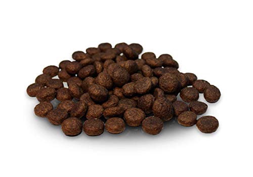 Dr. Berg URFLEISCH Lamm & Kartoffel - Getreidefreies, hypoallergenes Hundefutter - Trockenfutter mit viel FRISCHFLEISCH - extra verträglich und lecker durch natürliche Zutaten (5 kg)