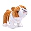 Bulldog Dog Yellow 12