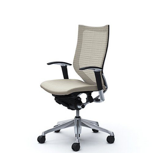 バロン (Baron) チェア 【ハイバック】 ポリッシュフレーム 可動肘 座クッション ホワイト CP85BR FEF3