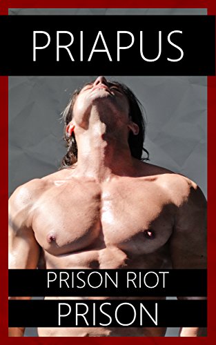Prison Riot: Prison, Sissy Erotica (English Edition)