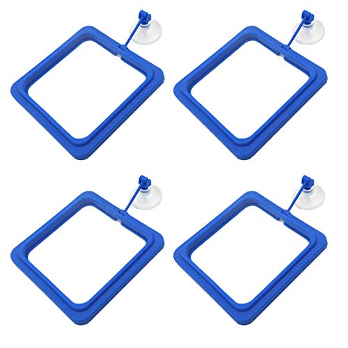 HONJIE Square Fish Feeding Ring Aquarium Fish Tank Suction Cup Floating Food Eco-Friendly Fish Safe HONJIE Square Fish Feeding Ring Aquarium Fish Tank Suction Cup Floating Food Eco-Friendly Fish Safe