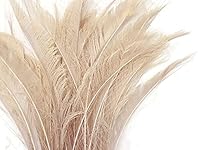 Algopix Similar Product 18 - 5 Pieces  Ivory Bleached  Dyed