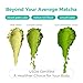 Emerail Organic Ceremonial Grade Matcha, Premium First Harvest Matcha Green Tea Powder, 100% Pure USDA-Certified, Sugar-Free Gluten-Free Vegan (60g / 2.1oz)