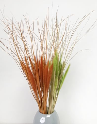 Dried Wolf Tails Grass Natural Bunny Tail Grass Lagurus Ovatus miniatura 7