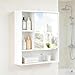 LIFEZEAL Wandschrank für Badezimmer mit Spiegel, Badezimmermöbel mit verstellbarem und abnehmbarem Regal, offenes Fach, Spiegeltür, für Wohnzimmer, Eingangsbereich, 55 x 16 x 61 cm (weiß)