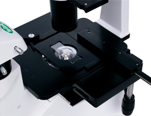 Vanguard 1491Ini Brightfield Inverted Microscope With Trinocular Head, Halogen Illumination, 4X, 10X, 20X, 40X Magnification #TOP5