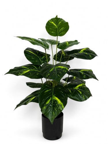 Image of Cocco.BUA Artificial Plant with Black Pot, 18 Leaves, 76 CM (2.5 Feet) (Variegated Green Plant)