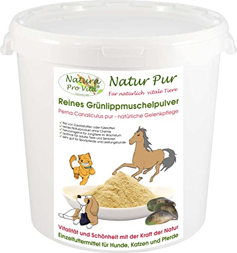 Grünlippmuschelpulver für Pferde Knochen Gelenke Sehnen Haut Fell Natur pur Top Qualität natürliche Taurinquelle reines Grünlippmuschelpulver Glycosaminoglycane (Gag) hohe Bioverfügbarkeit 1kg Eimer