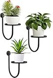 SLLPL Wall Planters for Indoor Plants, Mounted Holder Shelf, Metal Plant Wall Hanger, Decorative Plant Shelf for Indoor Wall Decor (3 Pack)