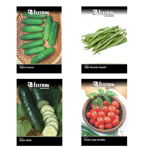 Kit 4 Sementes Legumes Horta Em Casa Jardins Vasos (Tomate, Pepino,Feijão e Pepino conserva)