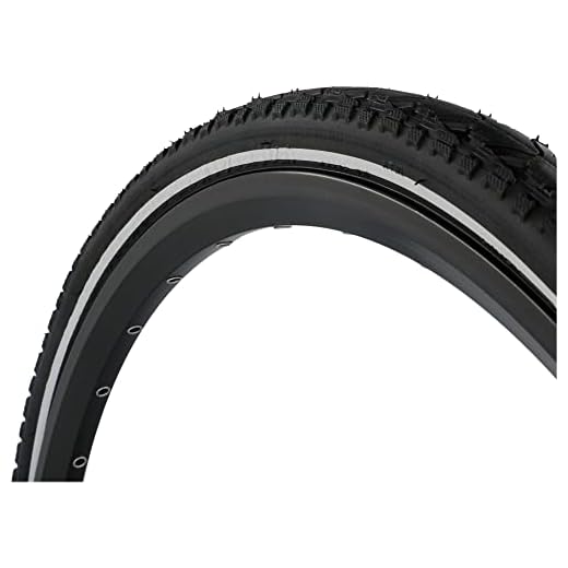 FISCHER Unisex_Vuxen Reifen Ebike pasi 28"40-622 Trek sw Refl däck, svart