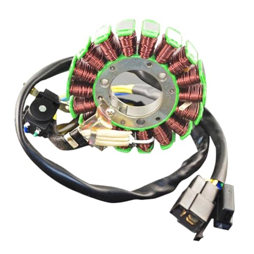 Bobina de estator compatible con DR200 1995-2013, estator de encendido para DF200 1996-2000 2