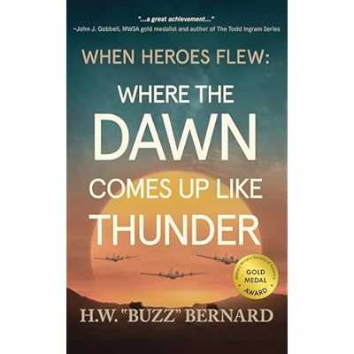 When Heroes Flew