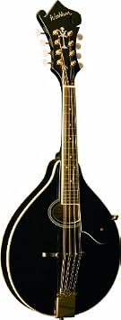 Washburn Americana M1SD ، ماندولين