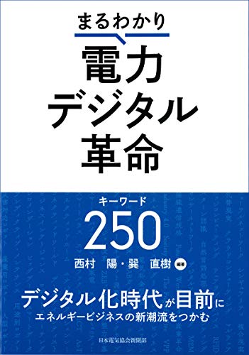 まるわかり電力デジタル革命キーワード250