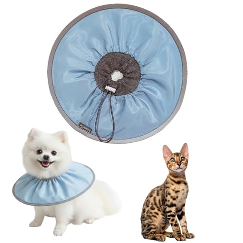 LifetipsxKL xKLp GUxXJ[ h \tg y pPA ی Ȃߖh~ p EȒP 􂦂 PAJ[(xr[u[j(Lj