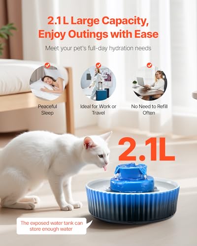 Distributeur eau chat porcelaine VEVOR pour hydrater vos animaux sereinement