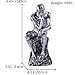 LECMACY Thinker Statue in Premium Cold Cast Retro Bronze- 9.64-Inch Premium Grade Collectible Figurine Design Rodin's The Thinker Inspired Decorative Statue, 5.51''Lx4.13''Wx9.64''H (Silver)