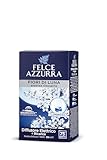 Felce Azzurra