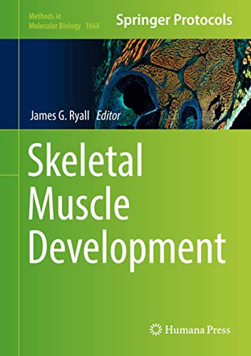 Skeletal Muscle Development (Hb 2017) view 2
