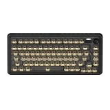 Clavier de Jeu mécanique Transparent Noir, 75% TKL RGB 3Modes Hot Swap Gaming Clavier avec Bouton multimédia TTC Fast Silver