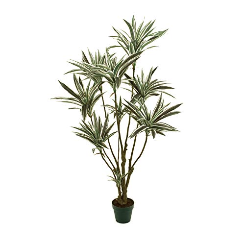 ������ ���� MAGIQ ���`�w���h���Z�i �N���[���O���[�� W85×H150cm ��17.5×H14.4cm 1���� FG025650-zzz