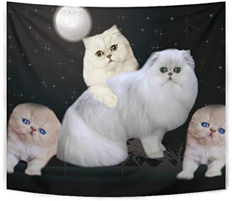 Pawfeel Lovely Persian Cat Print Tapestry