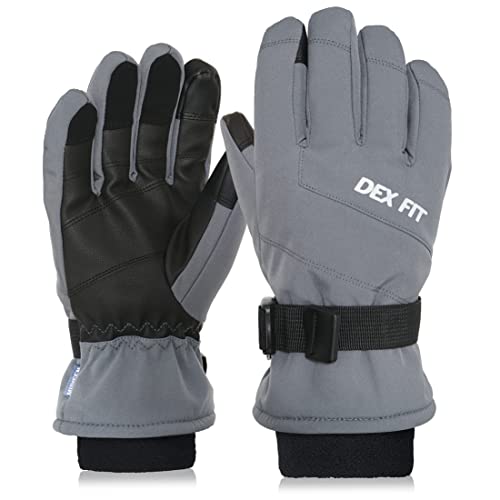 DEX FIT Coldproof Warm Winter Gloves WG201, Waterproof, Double Thermal Protection for Cold Weather & Outdoor Work, PU Leather Firm Grip, Touchscreen Compatible, Washable; Grey 10 (XL) 1 Pair