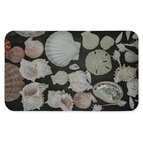 Summer Shells Display Anti-Fatigue Floor Mat, Ergonomic Cushioned Kitchen &