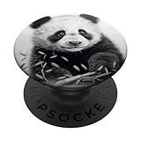 Cute Kawaii Panda Bear Lover Gift Ideas