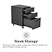 Vari Three Drawer File Cabinet - Mobile Filing Cabinet for Home or Office - Hanging File Storage - Lockable Drawers with Heavy-Duty Steel and Rolling Casters - Charcoal Grey