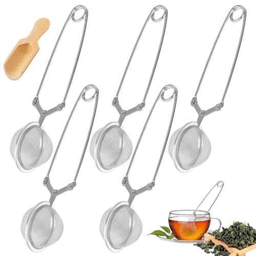 5 Pezzi Infusore per Tisane, Infusore Tè in Acciaio Inox, Filtro per Te Sfuso, Rotondo Filtro The Infusione con 1* Cucchiaio da Tè In Legno per Gli Amanti Del Tè (4,5 x 16cm)