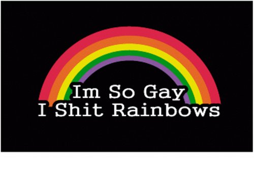 Im so Gay I Sh Rainbows Gay Pride Window Bumper Laptop Car Sticker (1)