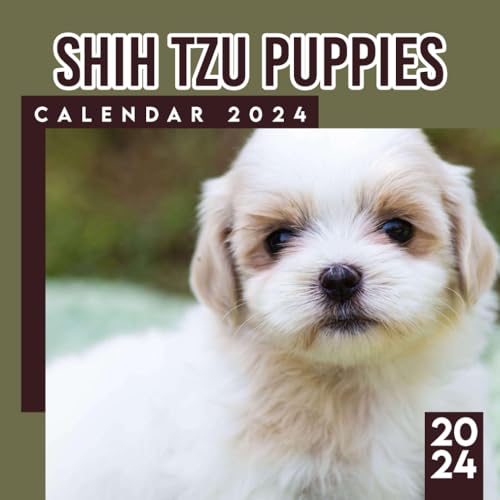 Shih Tzu Puppies Calendar 2024: Animals Calendar 2024-2025 From January 2024 to December 2024, Bonus 6 Months 2025 Calendar with Daily Blocks, Perfect ... Organizing, Planning Perfect Birthday Gifts