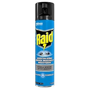 Raid Paral Insekten-Spray, Fliegenspray 1er Pack (1 x 400 ml)