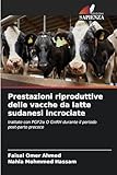 Edizioni Sapienza