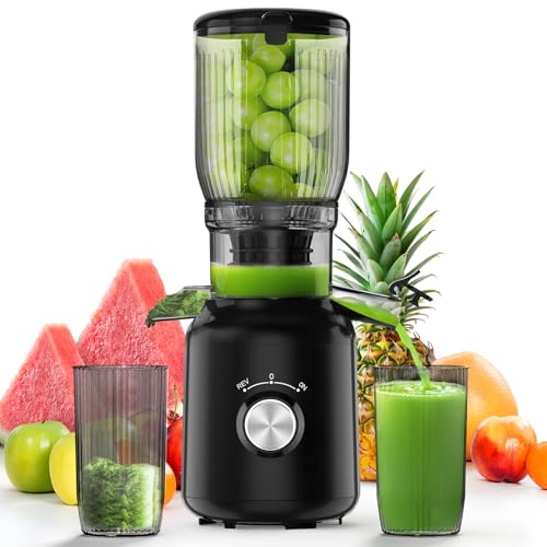 Cold Press Juicer, Juicer Machines with 5.3