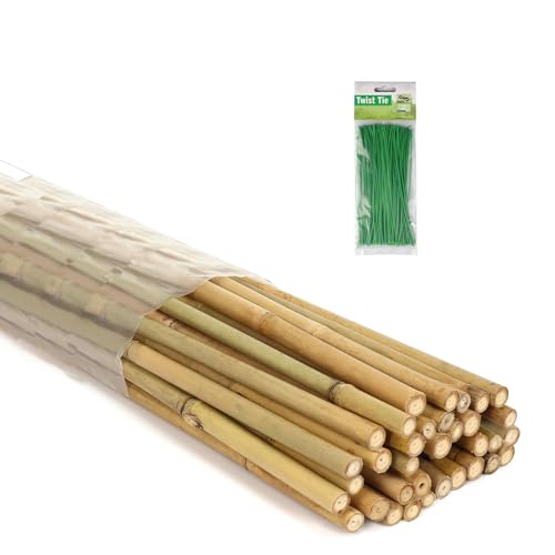 6 Ft Bamboo Stakes with 100 Twist Ties Natural Bamboo Garden Stakes for Tomatoes Cucumber Grapes Pole Beans Trees Potted Dahlia Flowers and Climbing Plants - Pack of 20 Bamboo Sticks