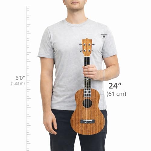Image of Vault UK 100C 24 inch Arched Back Concert Ukulele With Gig-Bag - Natural