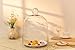 CYS EXCEL Glass Bell Dome Cloche (H:16