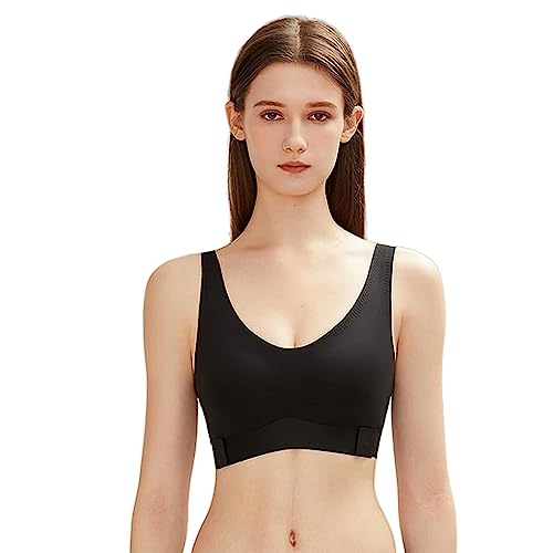 [veimia] Lw␳u V[X␳u iCgu V[XumC[u ։ĔLwpւƓAɃoXgAbv̌ʂҏoI (ubN,M)