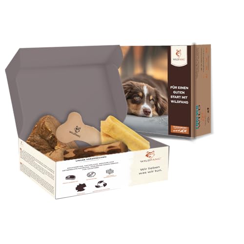 Wildfang Paket Willkommen Jungspund | Starterset für Welpen | Probierpaket | Kauwurzel aus Baumheide | Lederknochen | Kaustab aus Olivenholz | Probierset Hartkäse für Hunde (S - für kleine Hunde)